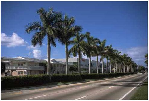 Landscaping a median can block midblock access and divert pedestrians to adjacent intersections.