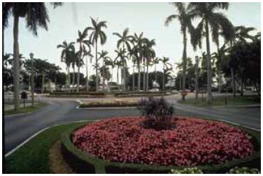 Traffic–calming devices are used to break up long, uninterrupted street vistas that encourage speeding.