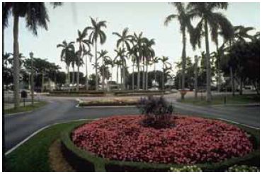 Traffic–calming devices are used to break up long, uninterrupted street vistas that encourage speeding.