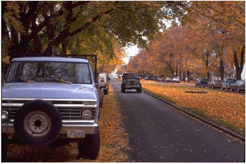 Neotraditional neighborhoods have narrower, tree–lined streets.
