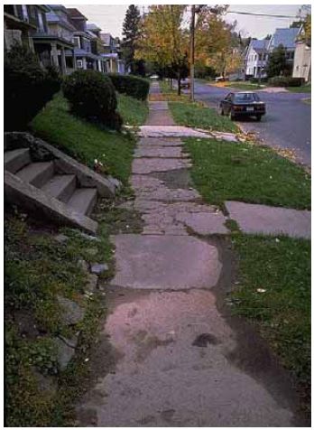 Inadequate maintenance of sidewalks makes a short walk difficult to maneuver.