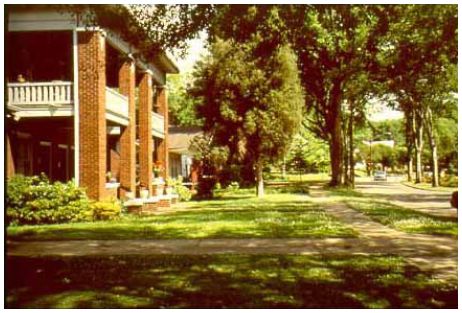 Street trees provide a desirable pedestrian environment.