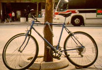 This picture shows a bicycle that has been locked to a utility pole.