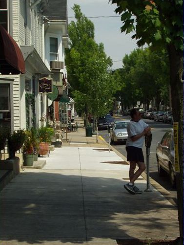 Picture shows many shops with a broad sidewalk out front. The street is tree-lined and a man rests on a parking meter in the shade. This street is on a smaller scale than the first picture.