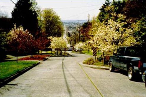 Picture shows a street that has various traffic calming elements, including curb extensions and chicanes.