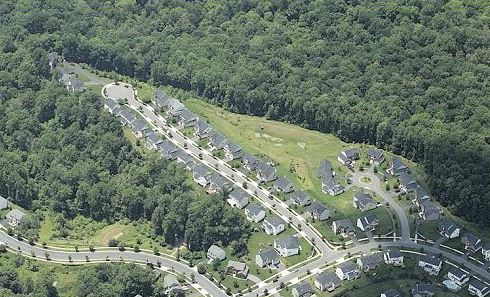The picture shows an aerial view of a suburban cul-de-sac neighborhood. The development is surrounded by a large forest area. There are no pedestrian connections between the ends of the cul de sacs, and one would have a long way to walk or bike to the main street.