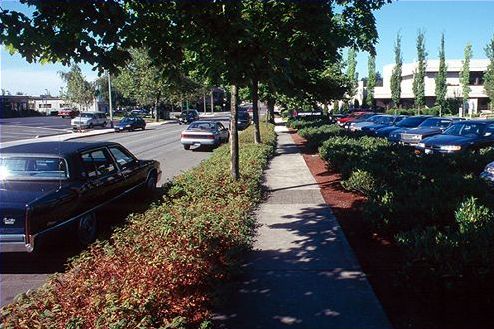 The picture shows a tree lined sidewalk that is lavishly landscaped on both sides. The sidewalk area forms a buffer between what looks to be the roadway into a commercial area on the left and a parking lot on the right.