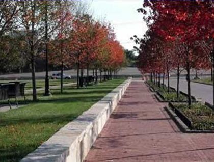 Picture shows a sidewalk in a park environment. 