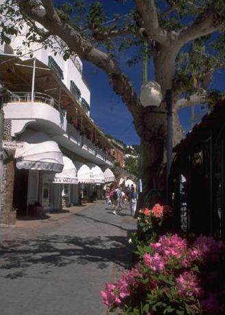 This picture shows a pedestrian walkway/mall area between storefronts. The space looks inviting, with large trees providing shade and abundant landscaping.