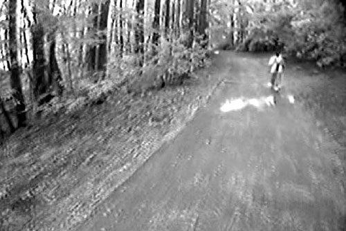 Screen shot (single frame) from the Lake Johnson Trail used during the perception survey. The image is forward-looking at a shared-use path from the bicycle helmet camera.