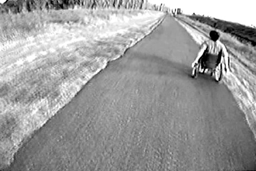 Screen shot (single frame) from the Sammamish River Trail used during the perception survey. The image is forward-looking at a shared-use path from the bicycle helmet camera.