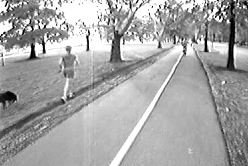 Screen shot (single frame) from the Forest Park Trail used during the perception survey. The image is forward-looking at a shared-use path from the bicycle helmet camera.