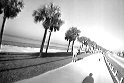 Screen shot (single frame) from the Honeymoon Island Trail used during the perception survey. The image is forward-looking at a shared-use path from the bicycle helmet camera.