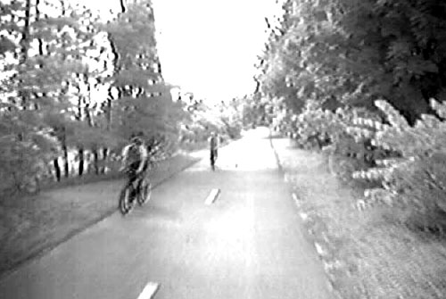 Screen shot (single frame) from the Minuteman Bikeway used during the perception survey. The image is forward-looking at a shared-use path from the bicycle helmet camera.