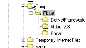 Window showing how unzipped files appear in the file directory.