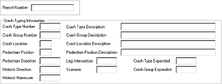 Figure 125. Ped_Crash_Type Form