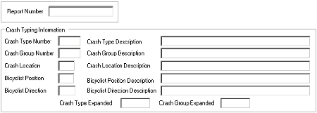 Figure 130. Bike_Crash_Type Form