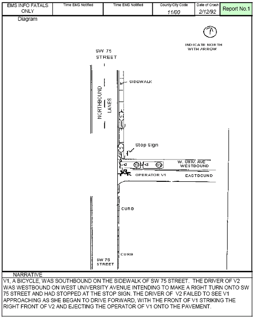 Figure 142. Florida Crash Report—Report 1