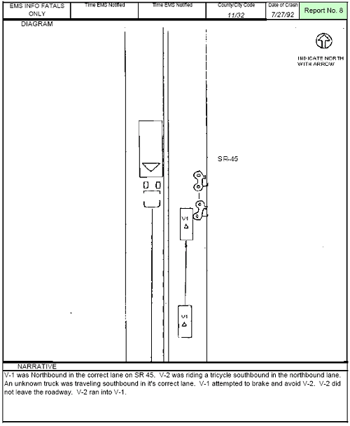 Figure 149. Florida Crash Report—Report 8