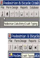 Click on the Pedestrian button to open a form for entering pedestrian crash data, then click on the Crash Typing button to start the crash typing process