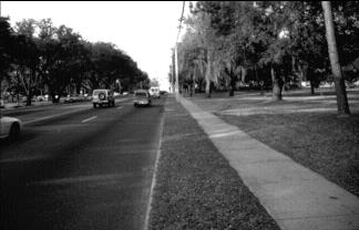 photo of a roadway and a sidewalk