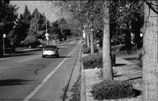 photo of a car going down a road