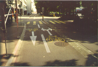 photo of bicycle lanes