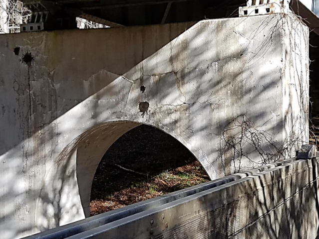 This photo shows a concrete wall under a bridge with severe cracking. The cracking is caused by alkali-silica reaction.