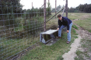 One-way door for small mammals to exit through a fence