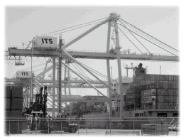 Photo of cranes unloading cargo from a ship