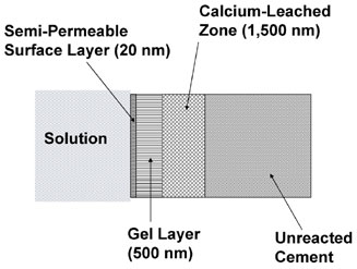 Breakdown:  Solution, Semi-Permeable Surface layer (20nm), Gel layer (500 nm), Calcium-leached zone (1,500 nm), Unreacted Cement