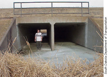 Person standing inside one of the barrels in a 1-barrel box culvert. Credit: South Dakota Department of Transportation