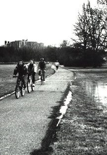 bicyclists on path
