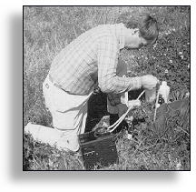 investigator checking for water contamination