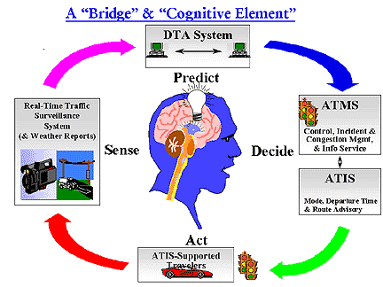 Brain & Cognitive Element