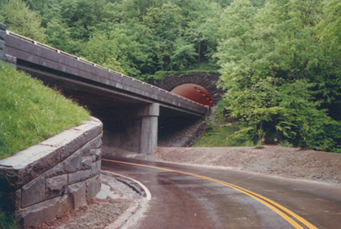 This is a photo of a road going under a bridge that leads into a tunnel. It was taken in the Great Smoky Mountains National Park. The tunnel goes into a forested hillside.