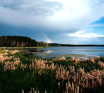 Photo showing a rainbow over a wetlands area.
