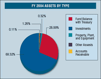 Pie chart showing fiscal year 2004 assets by type.