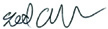 Signature of Theodore P. Alves