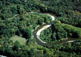 Photo of a forested stream reach within the Cuyahoga River watershed. Stream is in a backwards s shape. The surrounding trees are abundant and green.