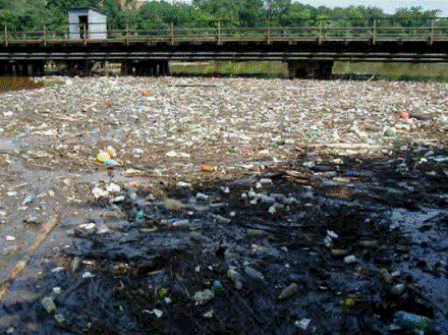 Photo of a District of Columbia receiving water impaired by trash.  DOT has no enforcement authority of local litter ordinance. (Photo by DDOT and DDOE.)