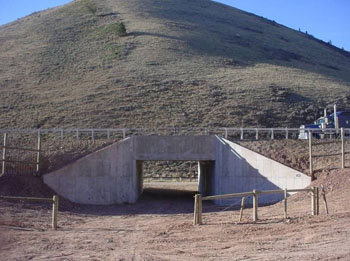 Photo of a deer underpass constructed in 2008.