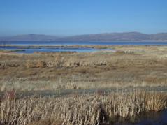 Caption: Washoe Lake wetlands mitigation site for US 395 project, near Carson City, NV.  Photo by Kevin Moody, FHWA Resource Center.