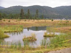 Caption: Wetland restoration site, northern Idaho.  Photo by Stephanie Stoermer, FHWA Resource Center.  