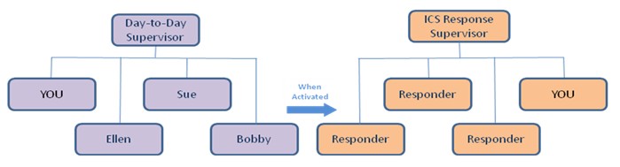 Blank Ics Org Chart