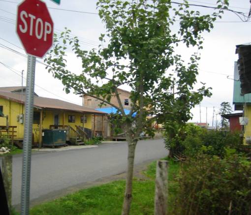 photo of a street at a stop sign