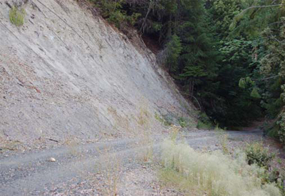 Multi-plate and roadway at newly constructed project