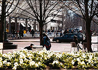 Photo: Reston Town Center, Reston, Virginia